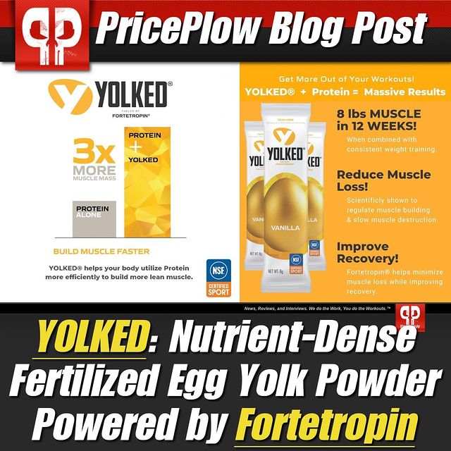 Myos Rens technology brings @yolkedfortetropin to market, a fertilized egg yolk powder powered by Fortetropin. Designed to enhance protein, improve both muscle and connective tissue recovery, and get you back to training quicker, we're pretty impressed by what this product can do from many different standpoints. We just published an extensive blog outlining all of the benefits of using Yolked, Powered by Fortetropin...check it out at the link in our bio!⠀