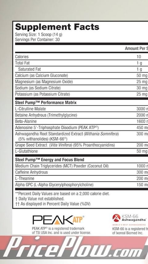 One Preworkout Size Fits All? | @steelfitusa Steel Pump Breakdown!