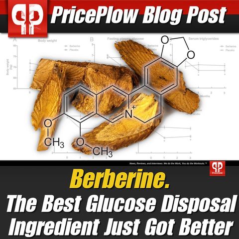 At long last, our research guide to the legendary glucose disposal agent ingredient, BERBERINE, is here: {{ blog.PricePlow.com link in @PricePlow bio }} It's not always cheap, but there's not too many natural compounds (if any) that can assist with body recomposition and general metabolic health more than this fascinating molecule. It even bests metformin, a popular anti-diabetic drug! It you more insulin sensitive, so you can drive more carbs into MUSCLE, not fat - especially with heavy training!