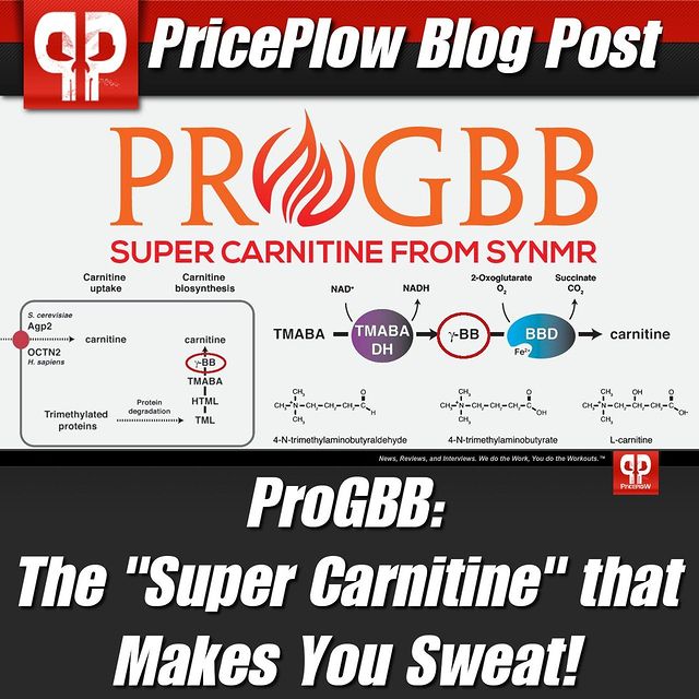 ProGBB: The Gamma Butyrobetaine Supplement that Enhances Carnitine⠀
