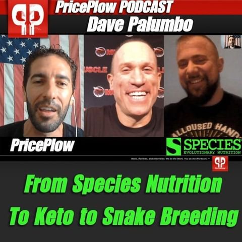 Dave Palumbo Interview: Species Nutrition, Keto Diet, and… Snake Breeding?!⠀