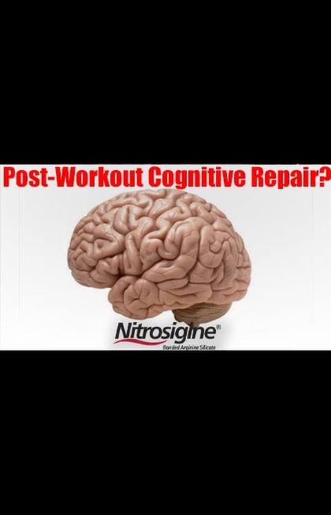 @nutrition21_llc Nitrosigine NEW DATA post workout cogniti