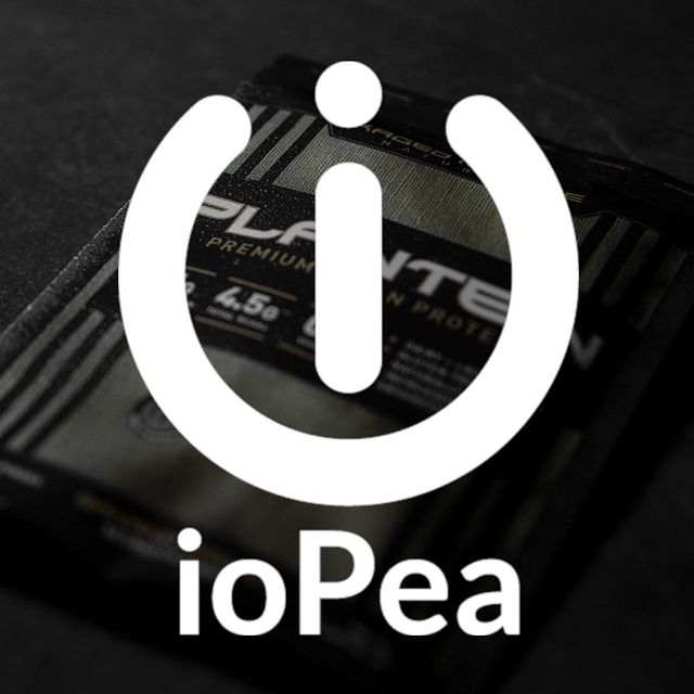 A plant protein with the power of whey?⠀