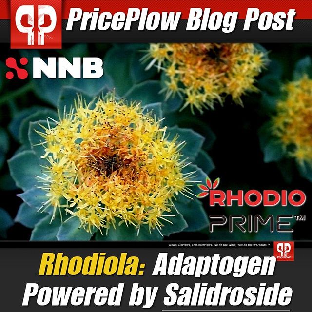 Our next MEGA blog post is live, and this time, we cover RHODIOLA!⠀
