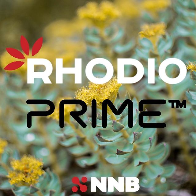 Introducing RhodioPrime 6X from @NNBNutrition! Click the link in our bio to learn more.⠀
