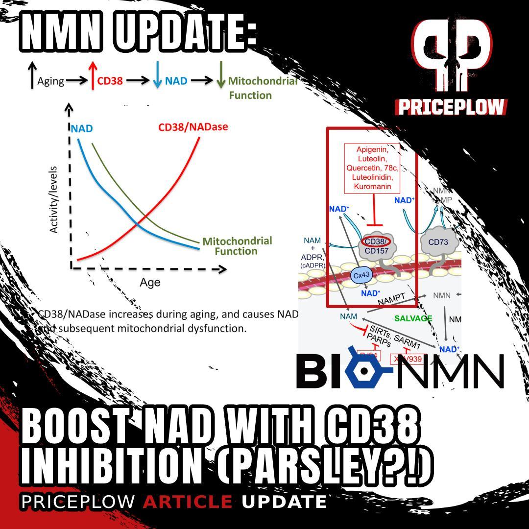 UPDATE to our NMN post: CD38 Inhibition!⠀