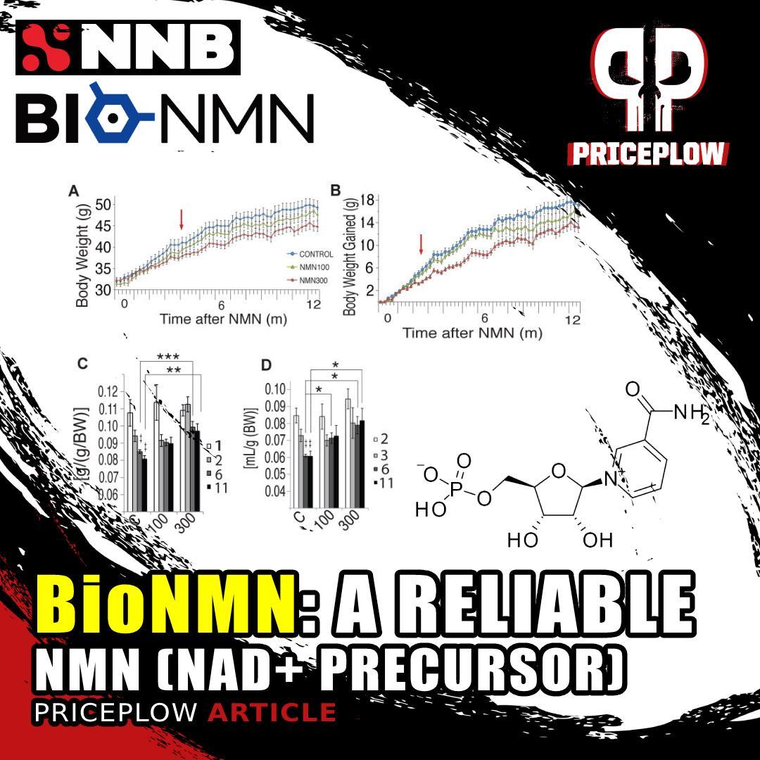 BioNMN: A Reliable NMN Supplement Ingredient for clean, stimulant-free mitochondrial energy.⠀