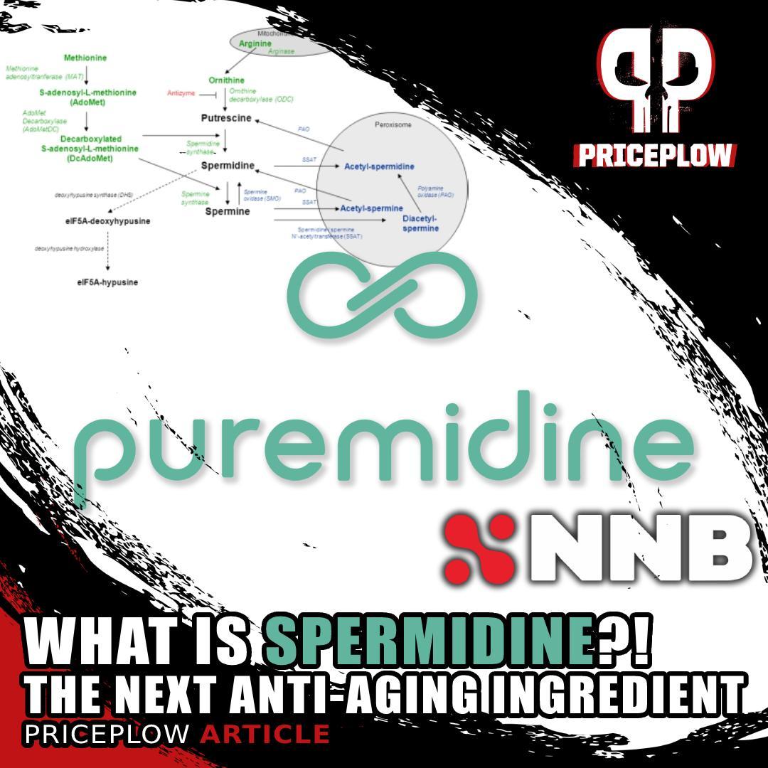 What is SPERMIDINE?? Meet the latest and greatest anti-aging compound -- research shows it can induce autophagy and the benefits of autophagy!⠀