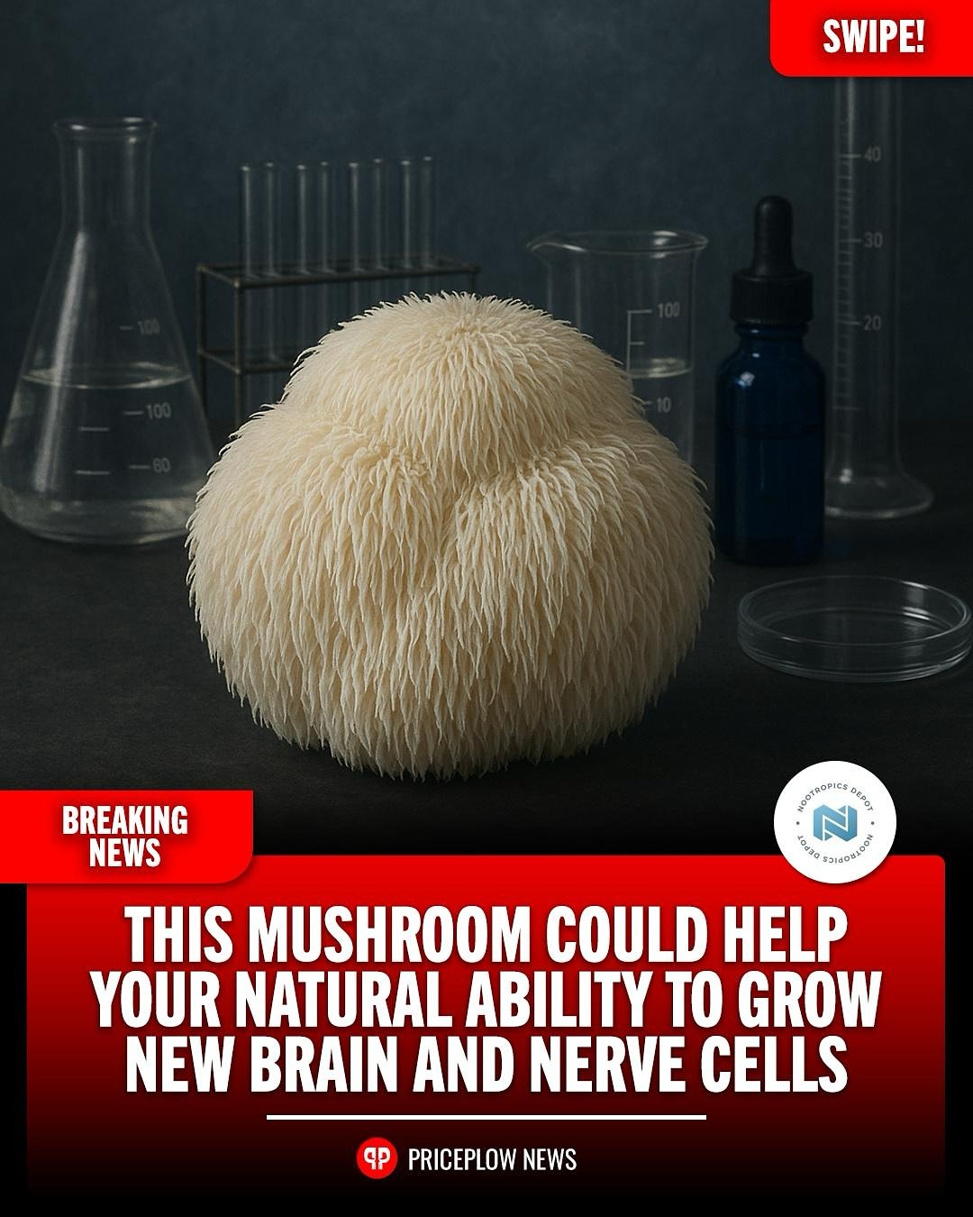 Lions mane is a staple for brain health- have you tried it? Look for Erinamax by @nootropicsdepot