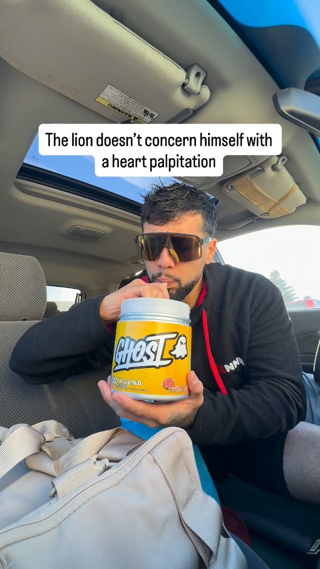 The lion needs his fuel  