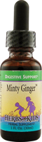 Herbs for Kids Minty Ginger for Kids