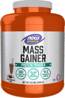 NOW Sports - Mass Gainer