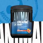Universal Animal Creatine HMB+