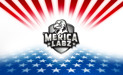 MericaLabz.com Coupons